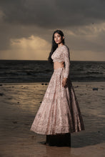 Load image into Gallery viewer, Lehenga Set
