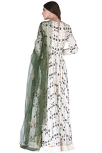 将图片加载到图库查看器,Gown