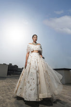 将图片加载到图库查看器,Lehenga Blouse