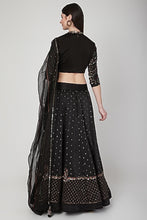 将图片加载到图库查看器,Lehenga Blouse