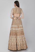 将图片加载到图库查看器,Lehenga Blouse