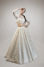 将图片加载到图库查看器,Lehenga Choli