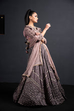 将图片加载到图库查看器,Lehenga Blouse