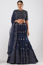 将图片加载到图库查看器,Lehenga Blouse
