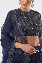 将图片加载到图库查看器,Lehenga Blouse