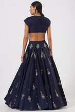 将图片加载到图库查看器,Lehenga Blouse