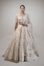 将图片加载到图库查看器,Lehenga