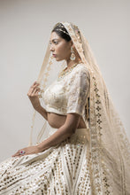将图片加载到图库查看器,Lehenga