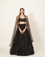 Load image into Gallery viewer, Lehenga
