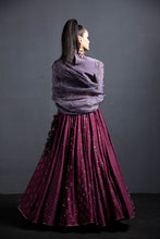将图片加载到图库查看器,Lehenga High Neck Blouse Set