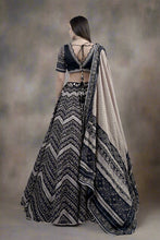 Load image into Gallery viewer, Lehenga Choli
